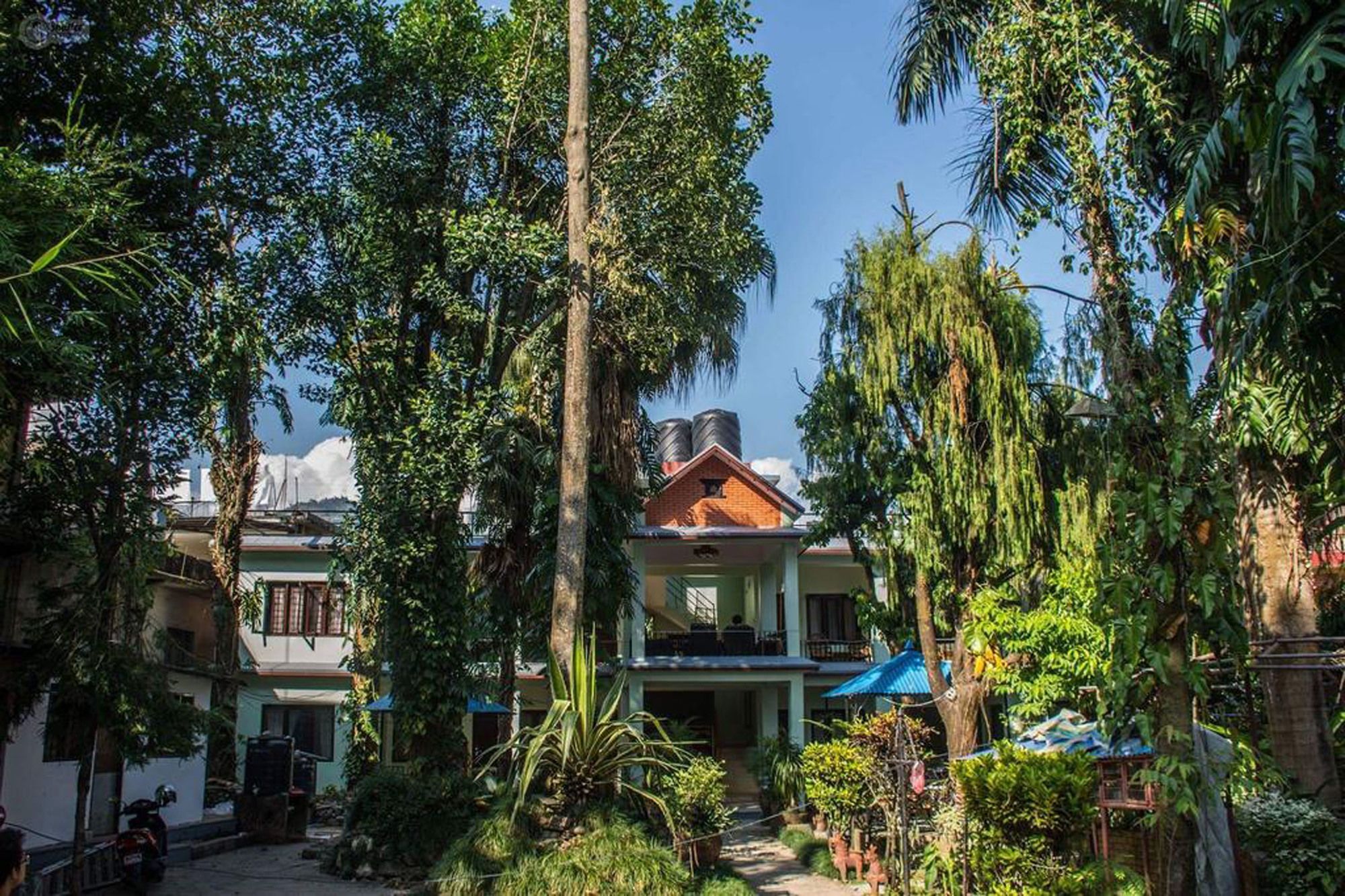 Yeti Guest House Покхара Екстер'єр фото